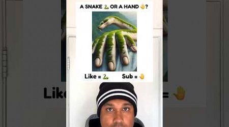 A snake or hand? #question #illusion #popularshorts #popularvideo #popular