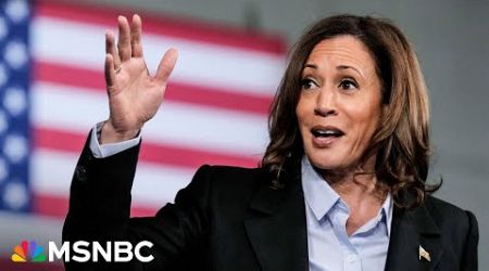 &#39;This is a super pro-business agenda’: Kamala Harris’ economic plans for small businesses