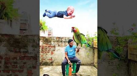 #greenscreen #trending #cryingbaby #birds #animals #foryoupage #entertainment #awesome #subscribe