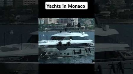 Millionaires luxury yachts in Monaco #monaco #yachtlife #luxuryyachtlife #boating #millionaire #fy