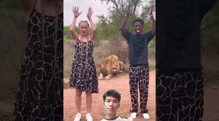 #dance #africa #lion #animals #duet #safari #animal #travel #couple