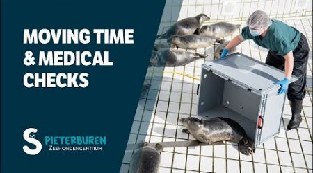 Moving time and medical checks at the Seal Center