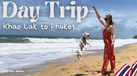 Day Trip from Khao Lak to Phuket: Road Trip with My Dog &amp; Cool Stops Along the Way | It&#39;s me, Manu