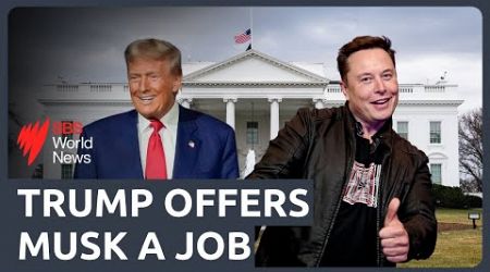 Donald Trump promises Elon Musk a government job if he&#39;s elected in November