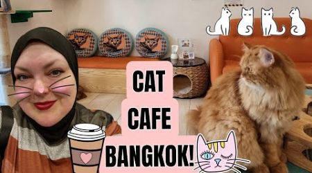 CAT CAFE TIME IN BANGKOK LIVE IRL!