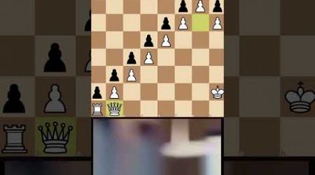 Queen sac#chesspuzzle #popular #chess #youtube #satranç #fyp #viralvideo #shortsvideo #shorts #short