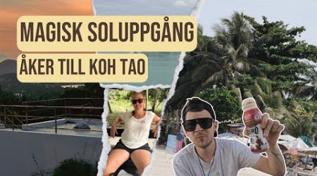 Magisk Soluppgång på Koh Samui och Reser till Koh Tao 