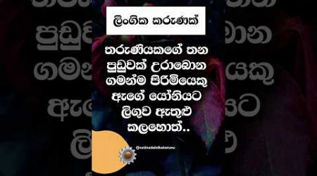 හම්බෝ මරුනේ 