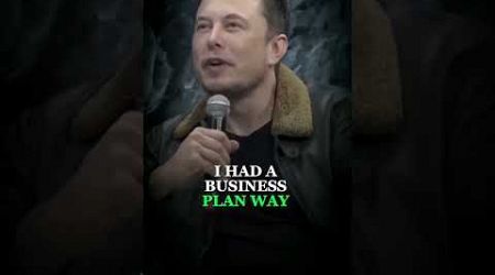 Elon Musk: No Business Plan? Just Vision 