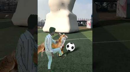 Tha mascot assistant henplaced on the football field is popular funny vfx #shorts #trending