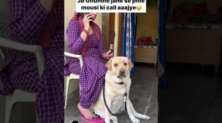 #dog #funny #doglover #labrador #comedy #pets #tseries #memes #mortal #popular