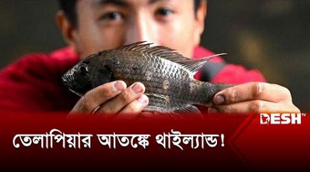 ছড়িয়ে পড়েছে ১৭টি প্রদেশে, ঘটছে কী? | Thailand | Tilapia | International News | Desh TV