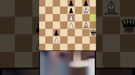 Queen sac#chesspuzzle #popular #chess #youtube #shortsvideo #shorts #short #fyp #viralvideo #satranç