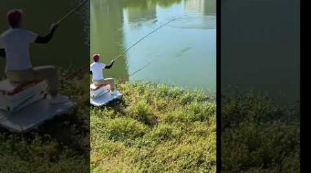 Fishing is the most popular sport #fishing #fishingvideo #bluefishing