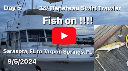 Day5 Beneteau 35’ Swift Trawler CRAZY FISH ON!!! Sarasota, FL to Tarpon Springs, FL Crime scene 