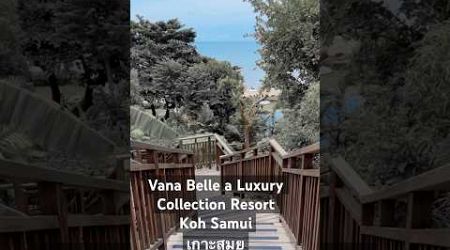 KevinKatieKayla | Vana Belle a Luxury Collection Resort Koh Samui#samui #baby #kids #travel