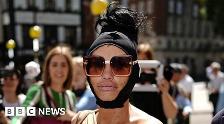 Katie Price's TikTok income suspended, judge rules