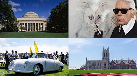 Million-dollar pet wills, expensive colleges, and Monterey Car Week: Lifestyle news roundup