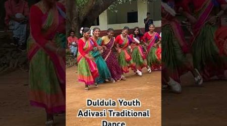 , Duldula Palli Chhattisgarh, International Youth Day , Traditional Adivasi Traditional Dance