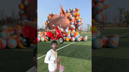 The mascot ostrich vibrato assistant on the football field is popular | #3d #shorts #ostrich 