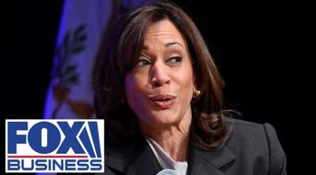 &#39;DISASTER&#39;: GOP rep grills Kamala Harris&#39; small business proposal