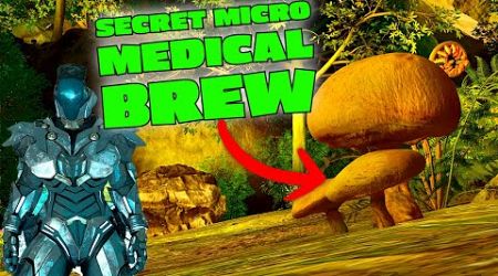 Secret MICRO MEDICAL BREW on Aberration in Ark Survival Ascended!!!