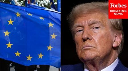 Expert: Here&#39;s How Political Trends In The United States Are ‘Spilling Over To Europe’