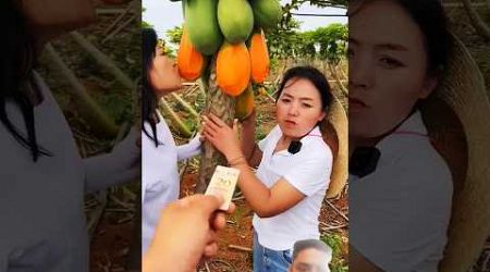 Last seen Beautiful thailand girl cutting papya #shorts #youtube #fruit #nature #plants #lover