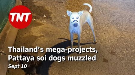 Thailand’s mega-projects, Pattaya soi dogs muzzled - September 10