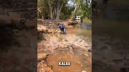 Gawat jatuh di kolam lele jumbo #fishing #river #catfish #mancingmania #travel