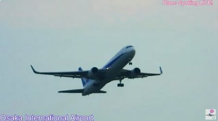 伊丹空港！Plane Spotting Live!! Osaka International Airport 09/10/2024