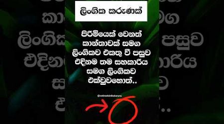 හම්බෝ හිතාගන්නවත් බෑ වෙනදේ