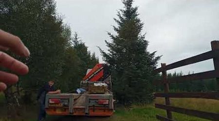 NETWORK RAIL MADE THIS HGV TRAVEL 24 HOURS FROM GLASGOW FOR THIS SMALL LOAD - DIDN&#39;T BUY LOCAL 