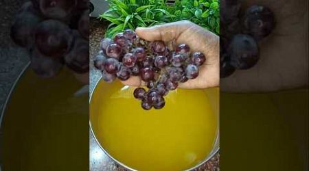 பன்னீர் திராட்சைப் பழத்தின் மருத்துவ குணங்கள் (Black Grapes Medical Benefits) #shorts #trending