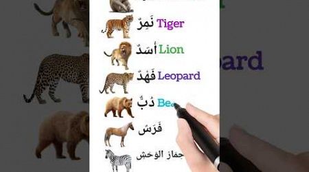 Various animals الحيوانات المختلفة #english #arabic #arabiclanguage #learning #education #school