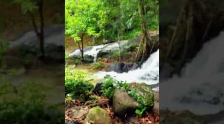 Near Phu Pha Waterfall in Phang Nga, Thailand. #waterfall #