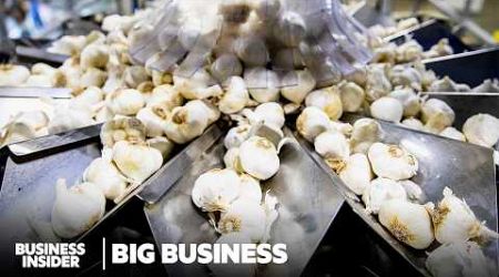 How The US&#39; Biggest Garlic Producer Survived The Fall Of American Garlic | Big Business