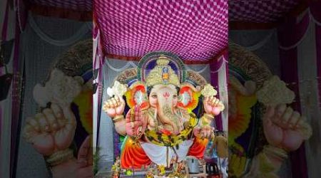 Ameerpet vinayakudu #ganesh #ganeshutsav #vinayaki #vinayaka #trending #trends