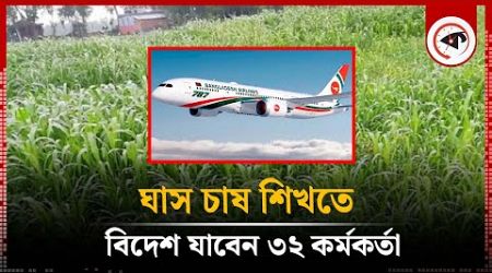 ঘাস চাষ শেখার অজুহাতে বিদেশ যাওয়ার বায়না ৩২ কর্মকর্তার | Grass cultivation | Government Officer