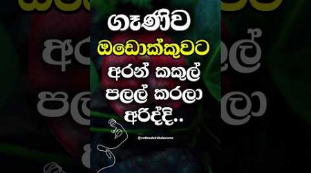 හම්බෝ එහෙම නම් ෆට්ට මරු