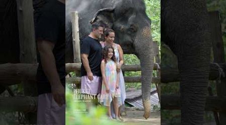 Phuket elephant care (Naithon Camp) #phuketelephantcare #elephant #phuketthailand #ช้างภูเก็ต