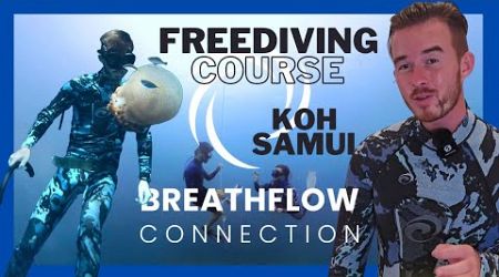 Freediving Course in Koh Samui | Learn to dive on a single breath