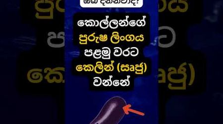 ඔයා මේ දේ දන්නවද? 