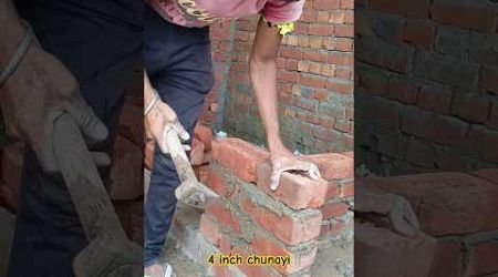 4 inch Wall chunayi #shorts #viral #trends