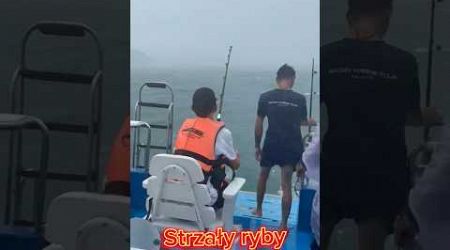 Trolling phuket branie marlina ~80kg spiął się. #bigfish #fishing #fish #ryby #wędkarstwo .