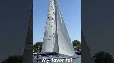 My favorite sailboat!