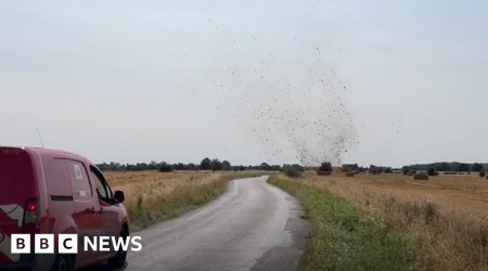 Watch: Dramatic dust devils spotted in East of England