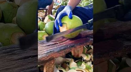 Amazing! Coconut cutting skills - Thailand. #shorts #youtubeshorts #coconut