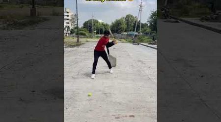 International vs Gully Cricket (Part-2) #cricket #comedy #funny #gullycricket