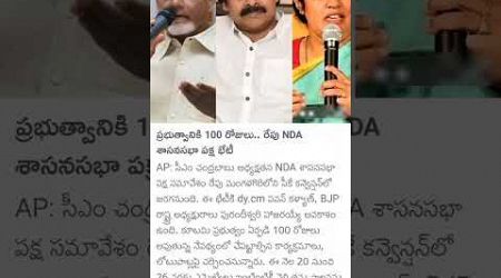 AP Government 100 days